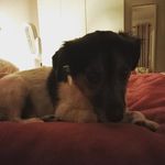 James Shuttleworth - @j__shuttleworth - Instagram