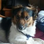 James Shuttleworth - @shutt21 - Instagram