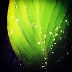 James Shutts - @jamesshutts - Instagram