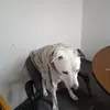 James Shutts - @james.shutts - TikTok