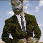 James Sibalukhulu - @jamessibalukhulu - Instagram