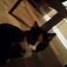James Sigwerth - Facebook