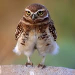 James Sigwerth - @sigwerthjames - Instagram