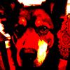james - @james.silas3 - TikTok