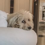 Oliver James Silcott - @ollie_silcott - Instagram