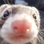James Silverman - @jameser2014 - Instagram
