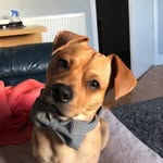James_simmers - @james152177 - Instagram