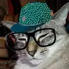 james simoes - @kimo_lava808 - TikTok