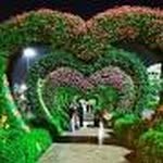 James Simons - @jamessimons73 - Instagram