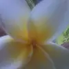 James Sing - @30721227641 - TikTok