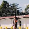 James Casiple - @james.casiple - TikTok