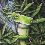 James Sirois - @stoneyfroggy - Instagram
