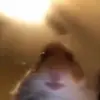 jamestaraski - @jamestaraski - TikTok