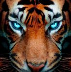 James Skipwith - Facebook