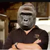 James Slamin - @james.slamin - TikTok
