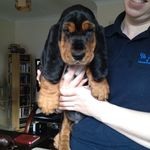 James Slane - @james_and_the_hound - Instagram