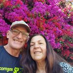 James Slapelis - @jamesslapelis - Instagram