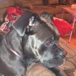 James Slonaker Jr. - Facebook