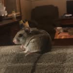 James Sluss - @james.sluss - Instagram