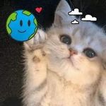 James Smythe - @james.smythe.2023 - Instagram