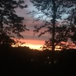 Luke James Snedden - @sneddo2509 - Instagram