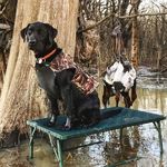 James Hunter Soileau - @soileaujames - Instagram