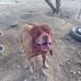 James Soke - Facebook