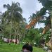 James Philip Tasic Solano - Facebook