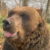 jamessomerset392 - @jamessomerset392 - TikTok