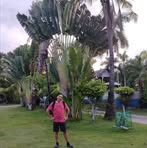 James Soon - Facebook
