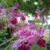 James Soong - @james.soong2 - TikTok
