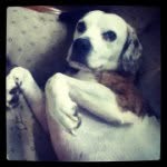Boey James Sowers - @ohhaiimboey - Instagram