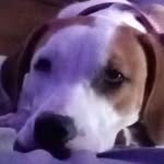 James Sowers - @jsowers200 - Instagram