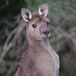 James Speers - @jimspeers - Instagram