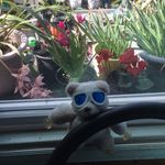 James Spilman - @sharonspilman - Instagram