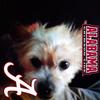 James Spruill111 - @jamesspruill1 - TikTok