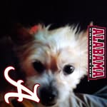 James Spruill - @james.spruill.3956 - Instagram
