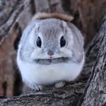 James Squirrell - @james.squirrell.792 - Instagram