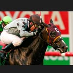 James Cassidy Racing Stables - @cassidy_racing - Instagram