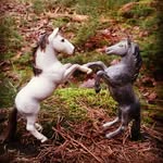 schleich!! - @schleich_stables_james - Instagram