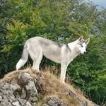 James Staddon - @staddon.james - Instagram