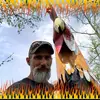 James Staggs273 - @jamesstaggs3176 - TikTok
