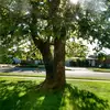 jamesstagg677 - @jamesstagg677 - TikTok