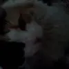jamesstaiti7 - @jamesstaiti7 - TikTok