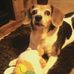 James Stalcup - Facebook