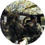 James Staley - @jstaley__ - Instagram