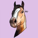 James - @irishcob_stallion_james_ - Instagram