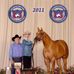Mr. James Dean AQHA Palomino Stallion - Facebook
