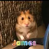 James Stanbridge - @jamesstanbridge - TikTok