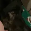 James Stanislaw - @dudeman326 - TikTok